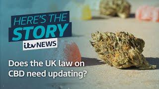 Does the UK's law on CBD need updating? | ITV News