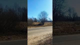 весна #жизньпенсионера