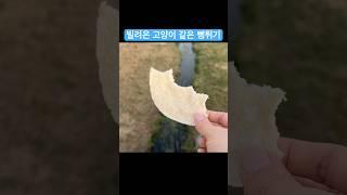 빌려온 고양이 같은 뻥튀기 (Eat the Puffs) #dessert #eating #kfood