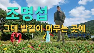 #힐링타임(원주 용수골 가을꽃축제) #그대발길이머무는곳에  #조명섭