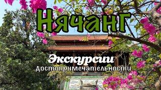 Вьетнам 2025. Цены на туры. Самый большой рынок Нячанга. #нячанг #travel