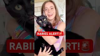 It has RABIES NOW!
