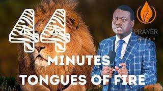 44 MINUTES TONGUES OF FIRE BY APOSTLE AROME OSAYI