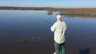 Sight fishing large schools of redfish with Capt. Scott Owens