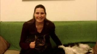 B-School w/ Marie Forleo vid by Ferris Jay