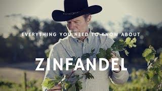 Everything You Need to Know About Zinfandel with Joel Peterson - Wine Oh TV