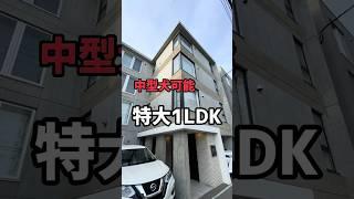 [Room hunting in Sapporo] Extra large 1LDK that can accommodate medium-sized dogs!! #Sapporo #Roo...