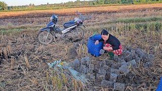 Vợ Chồng Miền tây Bẫy Theo Đám Xả , Vườn Hạnh Không Ngờ Trúng Bầy Chuột Khủng #vợchồngmiềntâytv