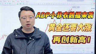 ADP小非农数据来袭，黄金还要大涨再创新高！【外汇交易策略】