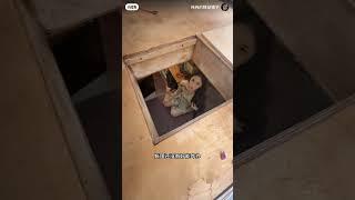 纯纯的移动铺子️ #纯纯的移动铺子