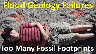 A Fossil Paradox? Footprints are Rarely Preserved in Stone and yet are very Common