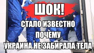 Утренний выпуск новостей 13.06.25