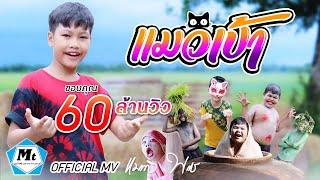 แมวเป้า - แมทธิว พชร (OFFICIAL MUSIC VIDEO)