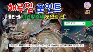 해루질 포인트 (태안권/이원방조제 폐양식장) #충남 #태안 #해루질