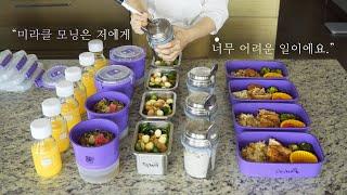 Making 16 meals of frozen lunch boxes (meal prep) that you store in the freezer for 3 months.