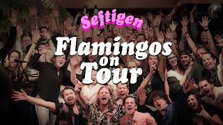 HECHT - Flamingos On Tour - Seftigen / 20.01.2023