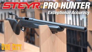 308 Steyr Pro Hunter - Gun Review