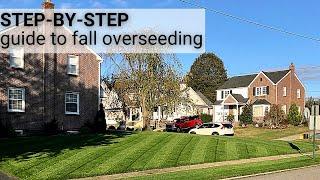 7 Simple Steps to fix an Ugly Lawn  Plan for Success!