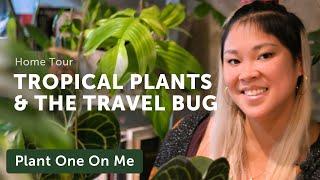 When TRAVEL Inspires Your PLANTS HOME TOUR — Ep. 250