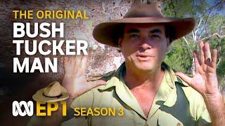 Disaster that changed aviation forever | ️ Bush Tucker Man | S3 EP1 | ABC Australia