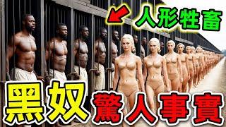 黑奴貿易最可怕的10個驚人發現！男女强迫对待沦为“人形家畜”，第一名比死刑残酷100倍，堪称男人地獄。|#世界之最top #世界之最 #出類拔萃 #腦洞大開 #top10 #黑奴 #驚人事實