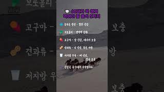 #한국힐링대학 #100세현역 #명언 #인생2막 #평생일자리 #꿈실현출판사 #힐링강사양성국내1위 #힐링율동