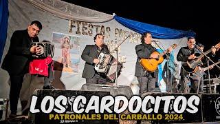 LOS CARDOCITOS - FIESTA DE SAN ROQUE 2024 (Pje. Lujan, Salta)