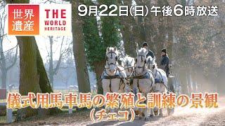 【TBS世界遺産】皇妃エリザベートが愛した白馬の牧場～儀式用馬車馬の繁殖と訓練の景観（チェコ）【9月22日午後6時放送】