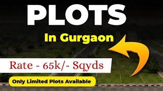 Residential Plots In Gurgaon | New Launch | Ddjay Plots In Gurgaon