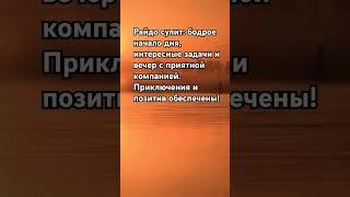 Прогноз на день Райдо. чистый путь скатертью дорога. #музыка #райдо #афирмации