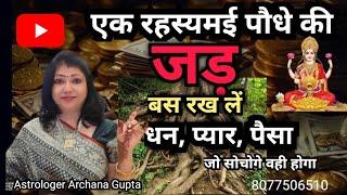 जो सोचोगे वही होगा! इस चमत्कारी पौधे की जड़ रखें और धन-समृद्धि पाएं | Archana Gupta
