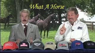 WHAT A HORSE SPECIAL EDITION HPA DISCUSSION WITH CHASE WILLIAMS