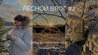 ЛЕСНОЙ ВЛОГ #2 | Снежная красота в Карелии | Украшаем кемпинг к Новому году