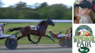 Windsor Fair, Windsor Maine | Horses |  Maple Ice Cream