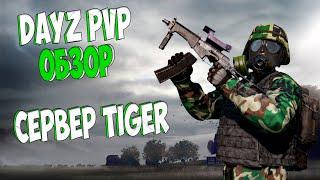 Dayz ОБЗОР PVP Сервера TIGER | ГОДНО?