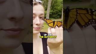 She Rescued This Beautiful Butterfly and Set It Free ️