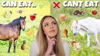 WHAT HORSES CAN AND CANT EAT 