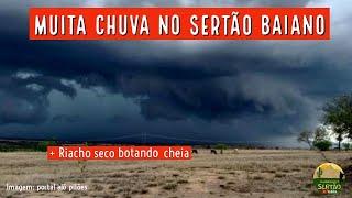 CHUVA Com Força na BAHIA: Veja que maravilha v38