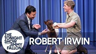 Robert Irwin and Jimmy Bottle Feed a Baby Miniature Horse