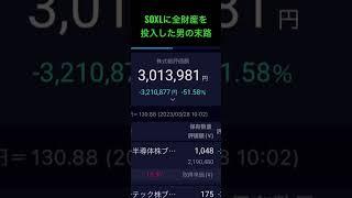 【SOXLに、全財産を投入した男の末路】 #レバナス #ナスダック100 #新型ニーサ