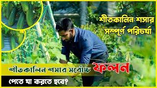 কোন জাতের শসা শীতকালে চাষ করবেন ? কিভাবে পরিচর্যা করলে গাছপ্রতি ৫ কেজি ফলন আসবে ?