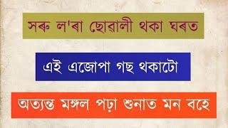 এই এজোপা গছ ঘৰত থাকিলে ঘৰৰ উন্নতি হয় । সৰু ল'ৰা ছোৱালী পঢ়া-শুনা মন বহে ।