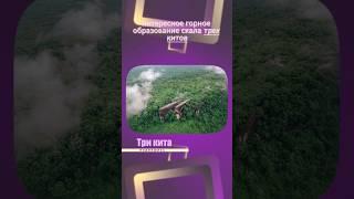 Скала три кита #Тайланд #гора #скала #три #кита #тропики