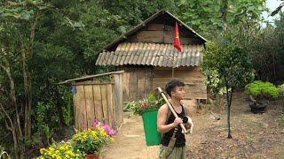 Young man: Left the city to return to his old house,Repaired the house,Planted flowers,Planted trees