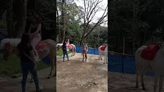 HORSE RIDING ADVENTURE#short#tagaytay#tourist#attraction
