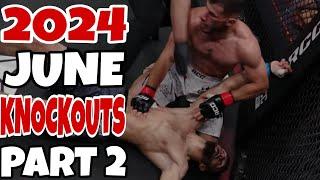 MMA & Boxing Knockouts I June 2024 Part 2