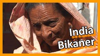 Bikaner city tour