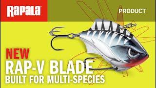 Rapala® V-Blade.  The Multi Species Multi-Tool.