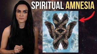 Spiritual Amnesia - Awaken Your Consciousness