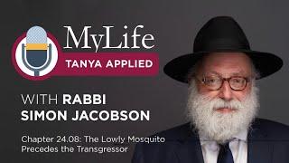 Chapter 24.08: The Lowly Mosquito Precedes the Transgressor